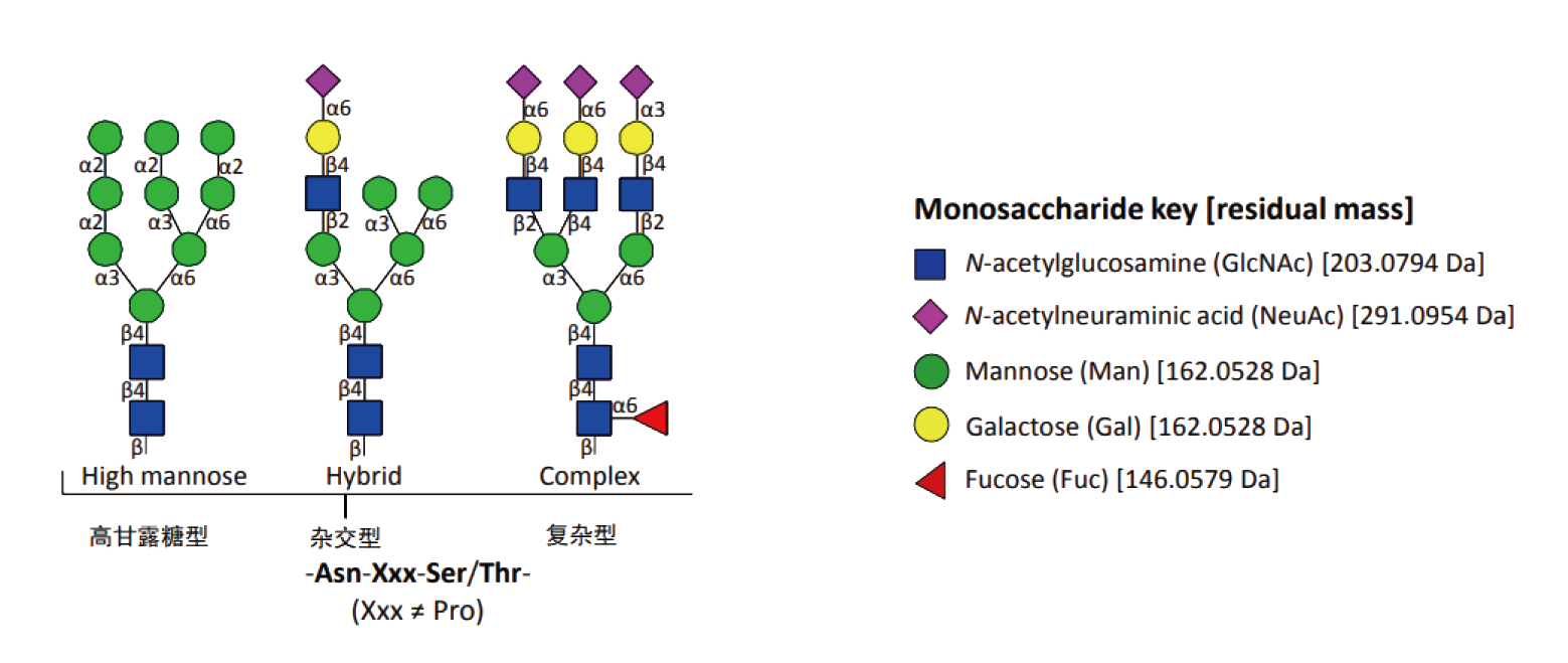 N-糖基化修饰蛋白组学(图4)